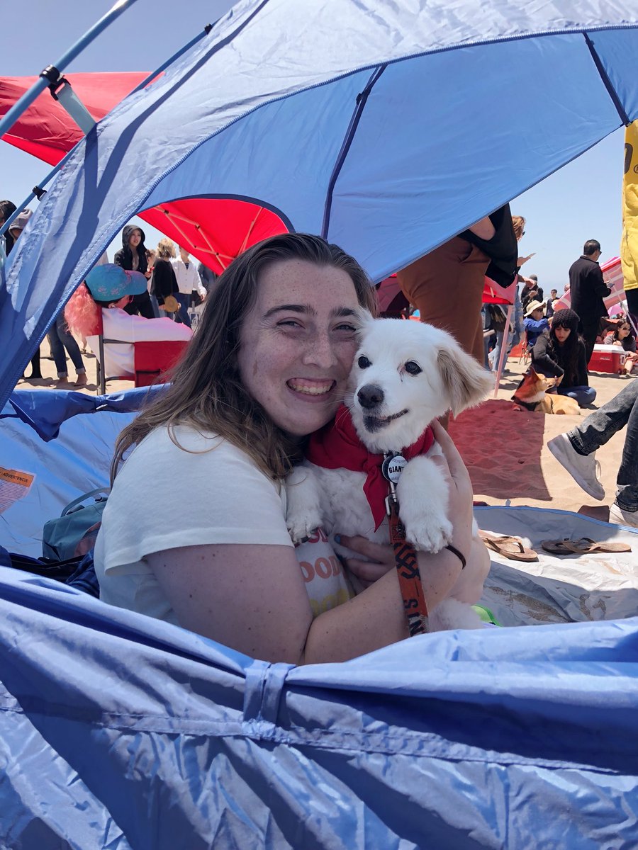 kprimm143's tweet image. Just another day at the beach with my baby 💕🐶

#CorgiCon #corgicon2018