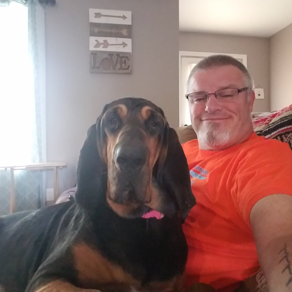 BloodhoundZoey's tweet photo. Watching the #CWS with Dad #jeepdog #gamerecovery #itsabloodhoundthing https://t.co/9AJUCWPj7K