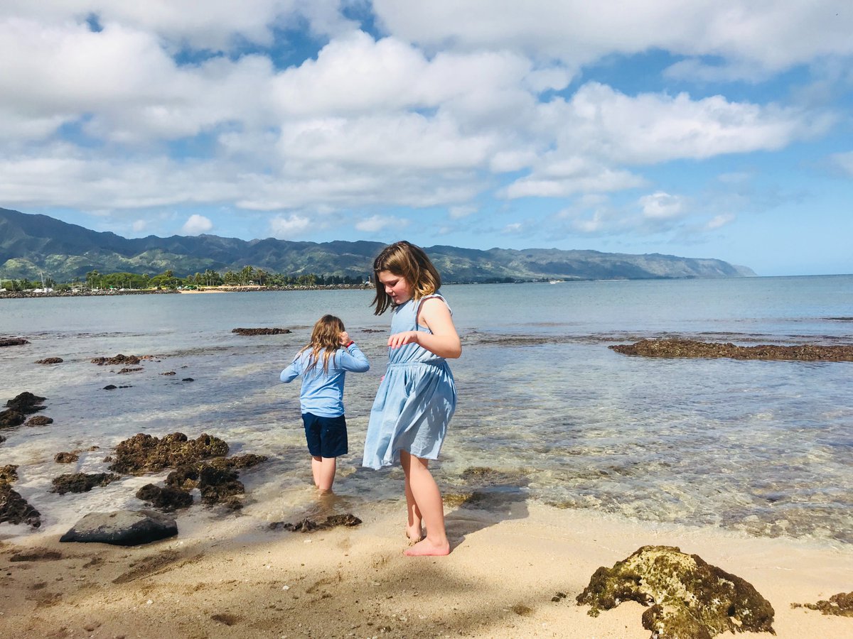 Vacatia's tweet photo. You'll like @smithsholiday's fun "10 Best Free Activities and Attractions on #Oahu, #Hawaii"! 😎🌴🌈 #familytravel https://t.co/hZUf6PW06U https://t.co/IsHVKv83p7
