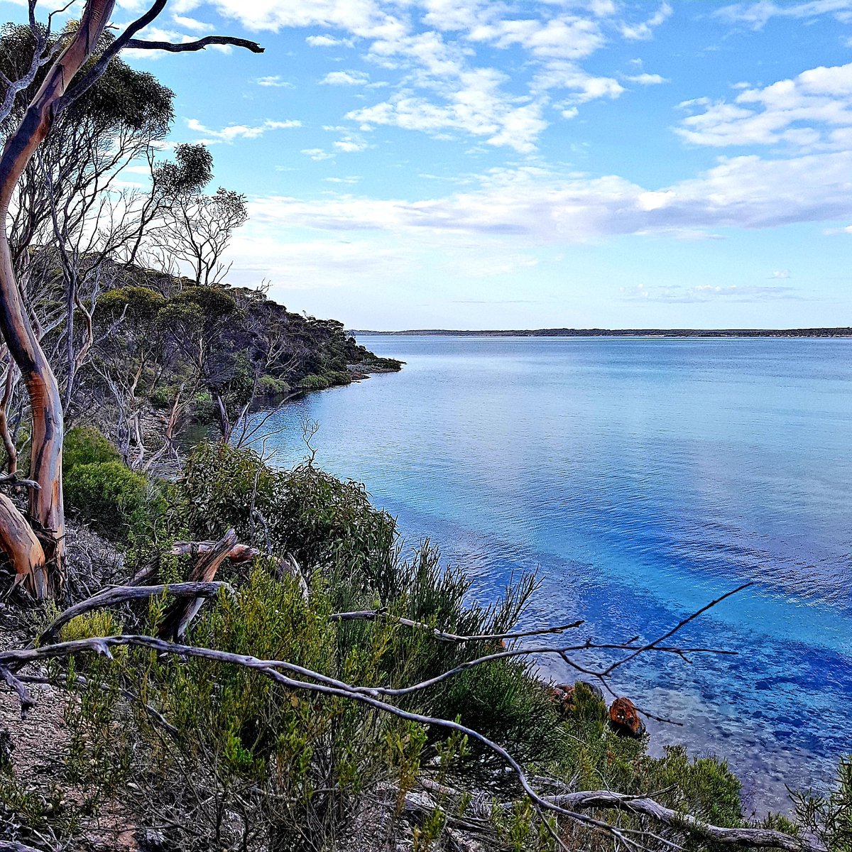 #EYREPENINSULA is made up of vast distances of rugged untouched #coastline, large areas of national parks and direct connection to the cold antarctic currents from the Southern Ocean. There is no wonder this provenance produces such an array of incredible #seafood.