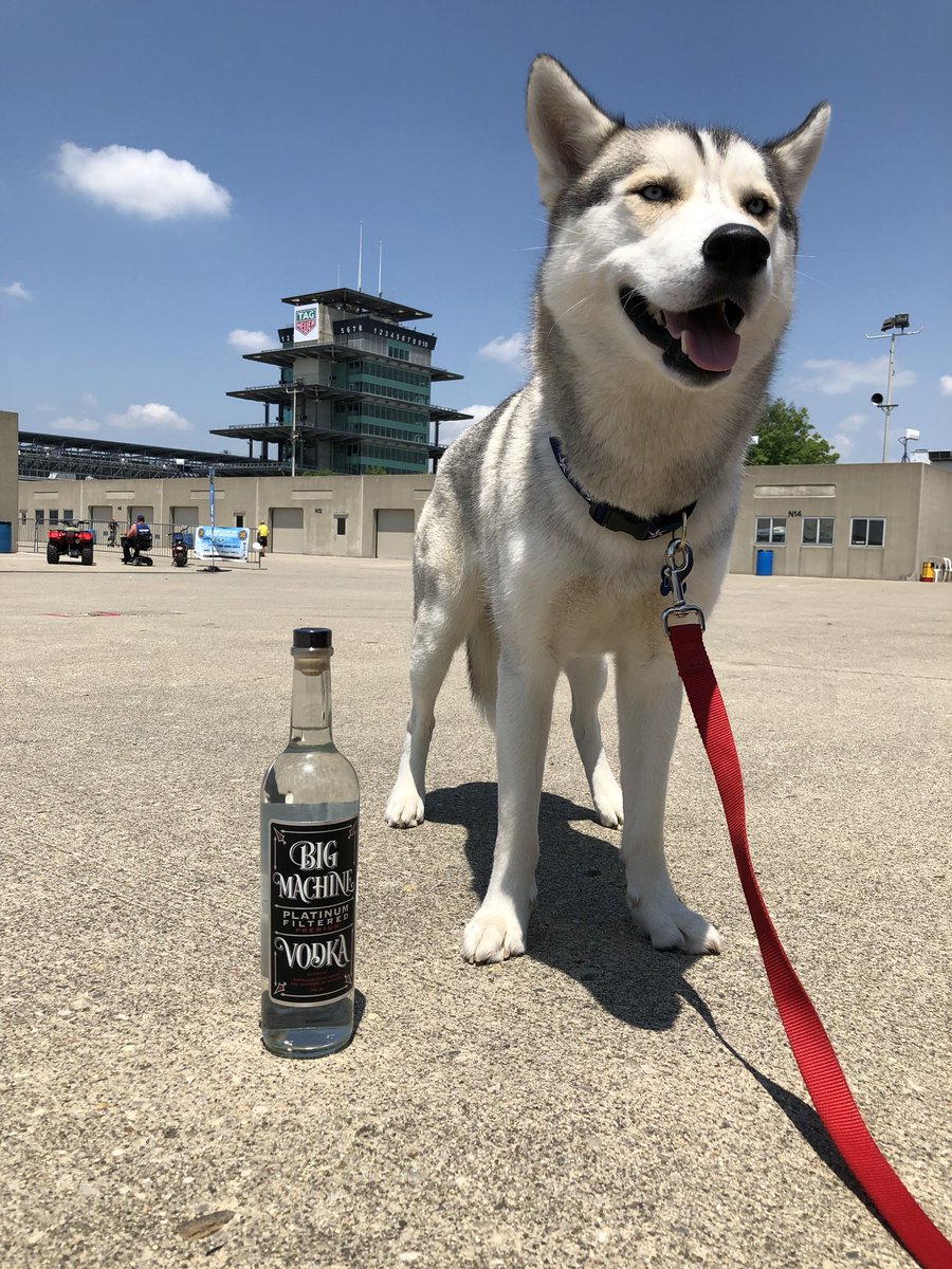 Thank you Mr. .<a href="/scottborchetta/">Scott Borchetta</a> for the bottle of <a href="/BigMachine/">Big Machine Label Group</a> Vodka. Diesel wishes he was 21 so he could try some 😜