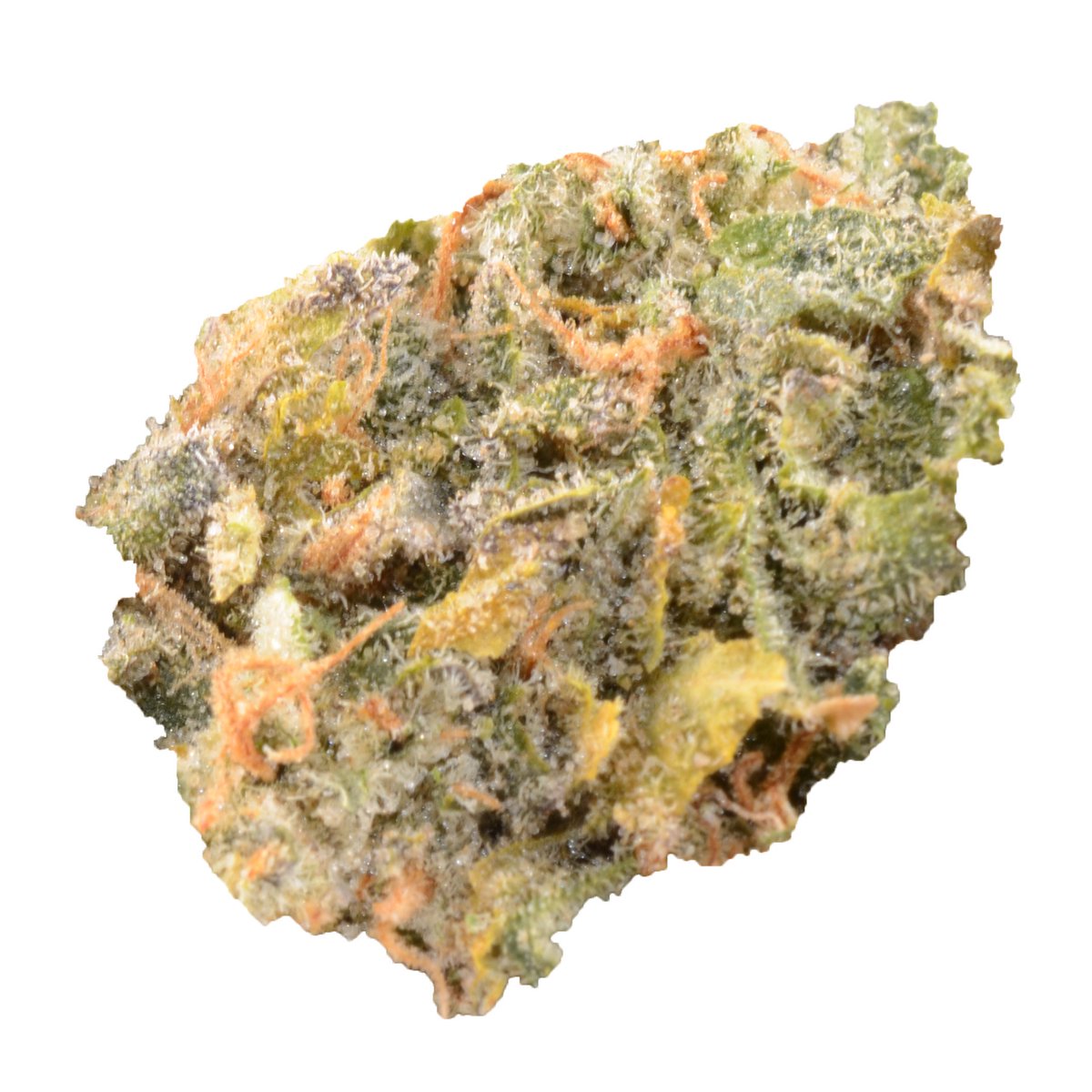 bcbudstore's tweet photo. Blueberry Headband- Let's get euphoric this weekend. 

#BcBudStore #uplifting #happy #relax #dank #ganja #CannabisCommunity #cannabis #CloudsOverCanada #CanadianWeed #WeedPorn https://t.co/bXCXN4rhZA