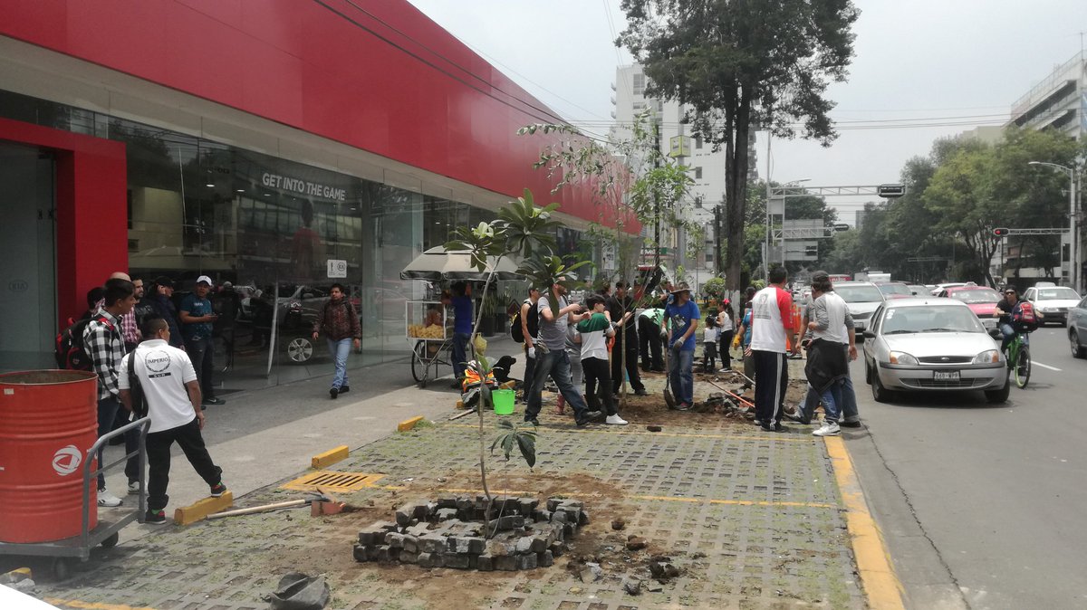 PAG_Ecatepec's tweet image. ¿Estás harto de quejarte y de no tener el México que quieres? 😞
Solución: Ponte en acción y construye el México que deseas. 😎
 #LosBuenosSomosMás 
De cajones de estacionamiento ilegales, a un Área con Árboles. 😃😍
#PoderAntiGandalla