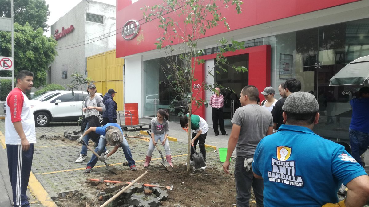 PAG_Ecatepec's tweet image. ¿Estás harto de quejarte y de no tener el México que quieres? 😞
Solución: Ponte en acción y construye el México que deseas. 😎
 #LosBuenosSomosMás 
De cajones de estacionamiento ilegales, a un Área con Árboles. 😃😍
#PoderAntiGandalla