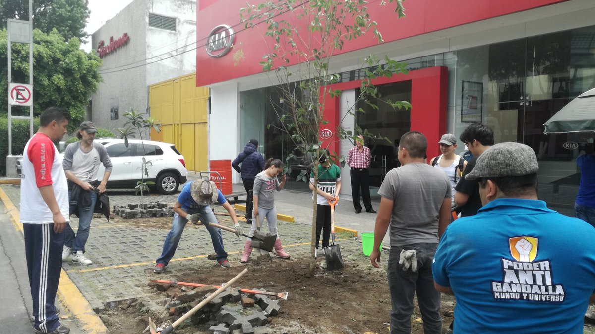 PAG_Ecatepec's tweet image. ¿Estás harto de quejarte y de no tener el México que quieres? 😞
Solución: Ponte en acción y construye el México que deseas. 😎
 #LosBuenosSomosMás 
De cajones de estacionamiento ilegales, a un Área con Árboles. 😃😍
#PoderAntiGandalla