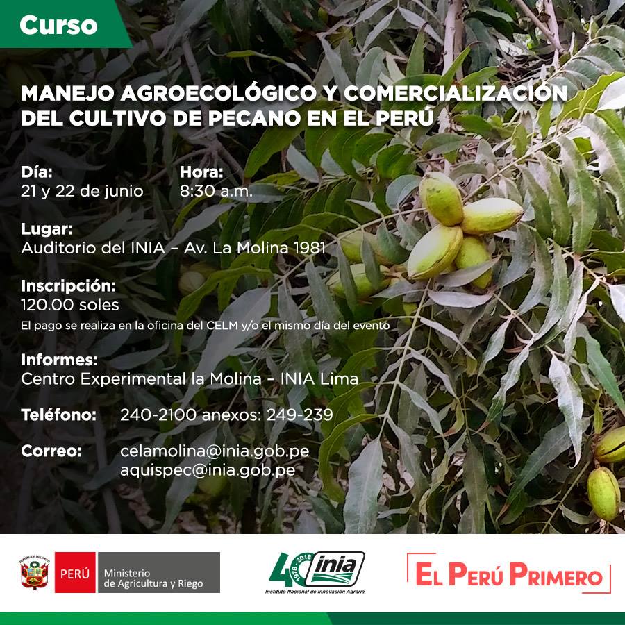 INIAPeru's tweet photo. #ElPerúPrimero El Gobierno, a través del @minagriperu, desarrollará este 21 y 22 de junio, el curso "Manejo agroecológico y comercialización del cultivo de #pecano en el Perú" en el auditorio de la sede central del @INIAPeru en #Lima.
Más información → https://t.co/Hb7AQ7LXu8 https://t.co/GwhpZ8aAUf
