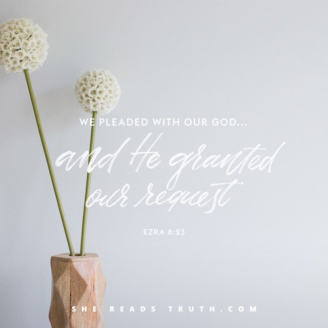 caneyhead's tweet photo. ezra scripture - Google Search https://t.co/baFZpJbONx: https://t.co/xC9mT7zlsX