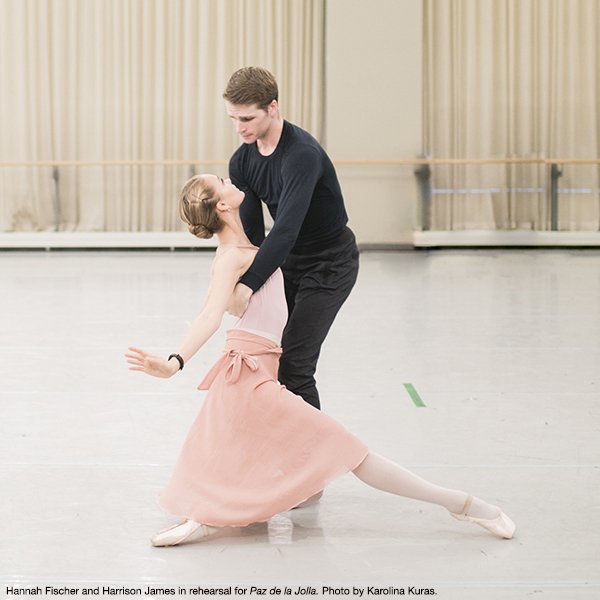 nationalballet's tweet photo. Attending #PazdelaJollaNBC &amp; #CactiNBC &amp; #TheManinBlackNBC? Karen Kain primes you on what you need to know >> https://t.co/HvIEupePgj https://t.co/WT0ebWJQuX
