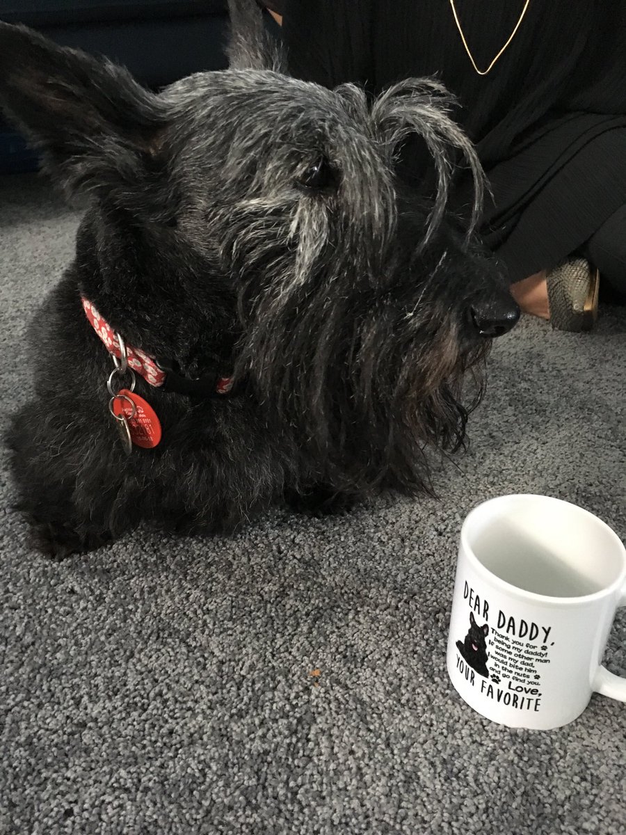 what a cool coffee mug #scottiesRule