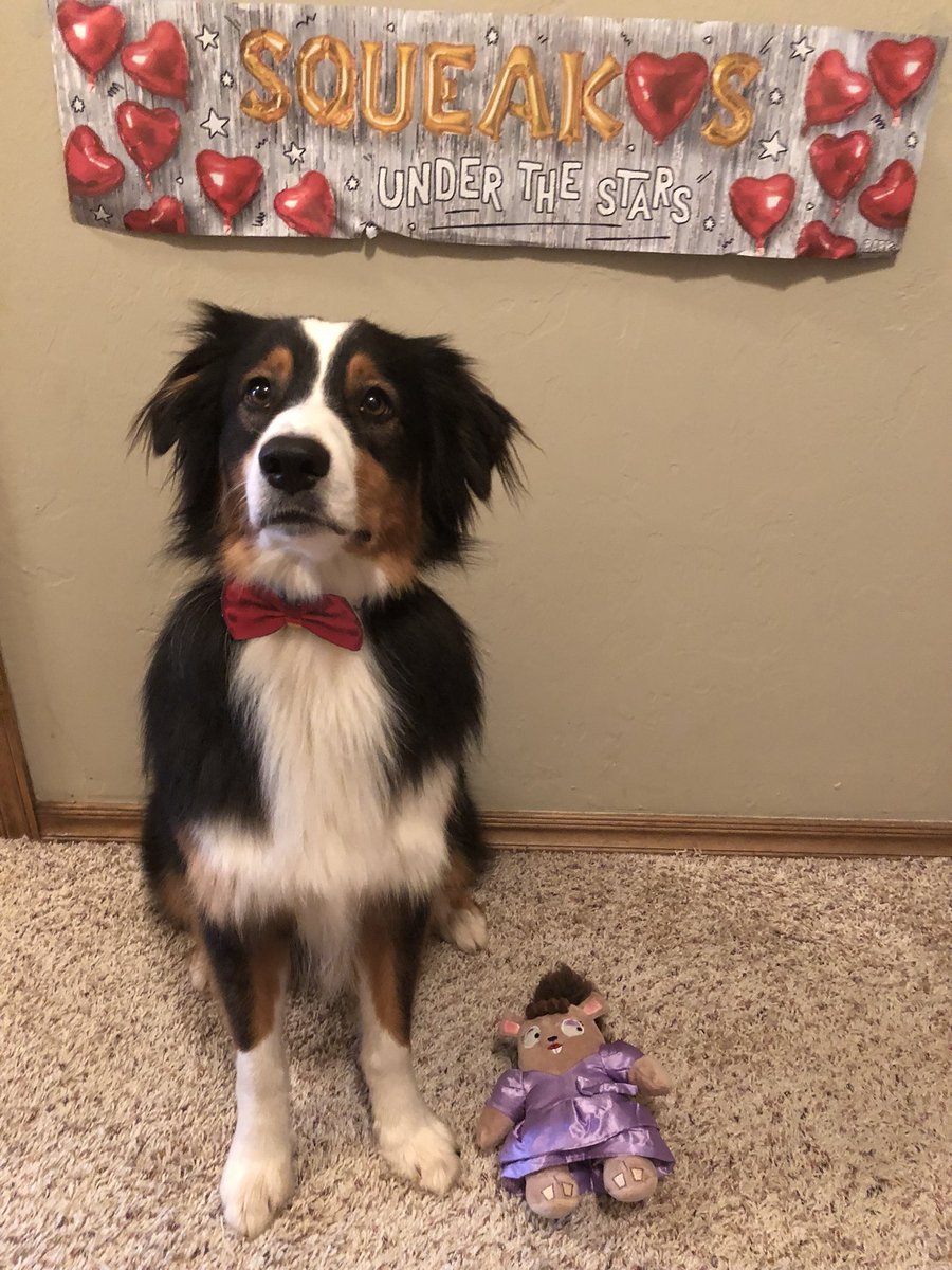 jermyinterrante's tweet image. Nico serious Prom pic #BarkBoxDay