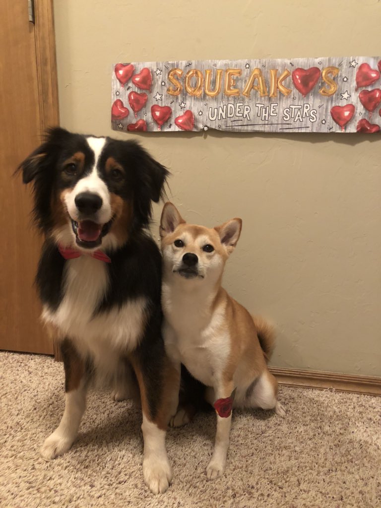 jermyinterrante's tweet image. Nico’s happy prom pic photo #BarkBoxDay
