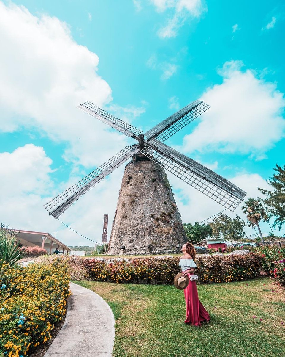 Barbados's tweet photo. While exploring Barbados, you'll find each day brings new discoveries and each place has a story. #VisitBarbados #LoveBarbados

📍: Morgan Lewis Windmill 

📸: @travellushes https://t.co/ckNmBuaAH3