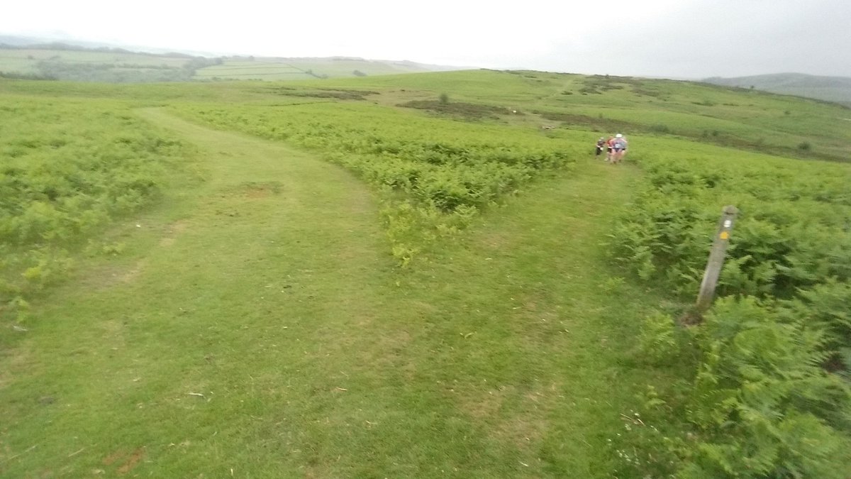 cathfenn's tweet photo. Day 16 #30DaysWild went with the random wild idea of heading to Welsh border for Offa's Dyke 15 😁 #running #tempoevents #getactive https://t.co/P0Hb9g7vPB