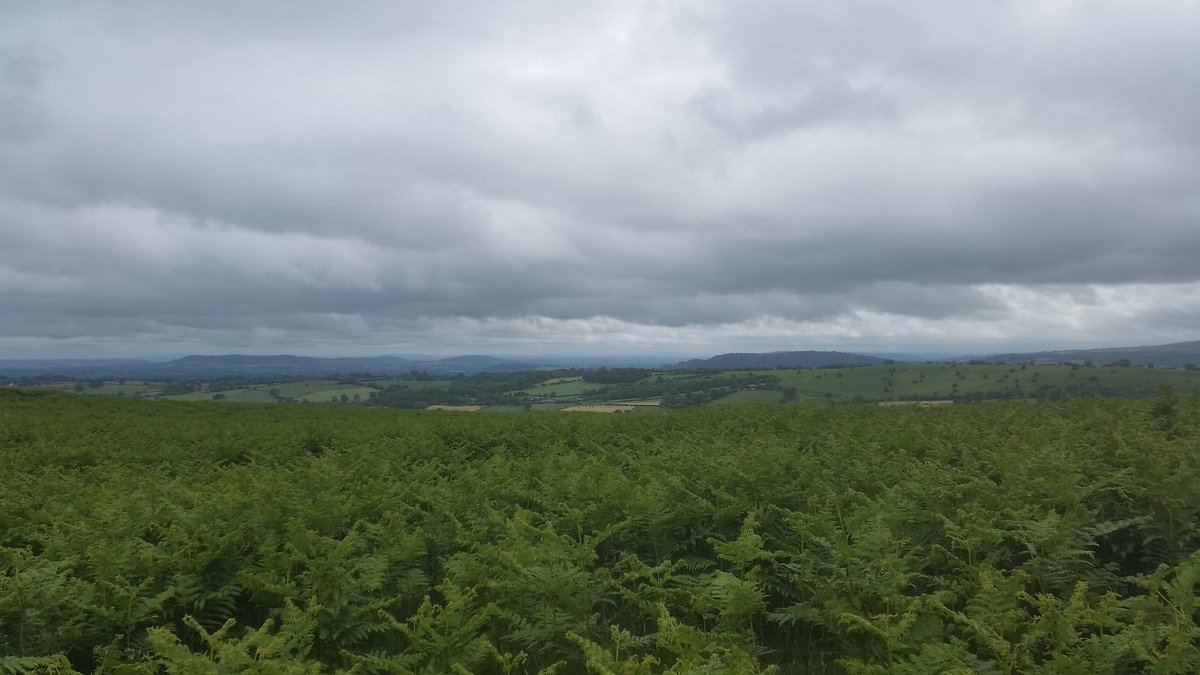 cathfenn's tweet photo. Day 16 #30DaysWild went with the random wild idea of heading to Welsh border for Offa's Dyke 15 😁 #running #tempoevents #getactive https://t.co/P0Hb9g7vPB