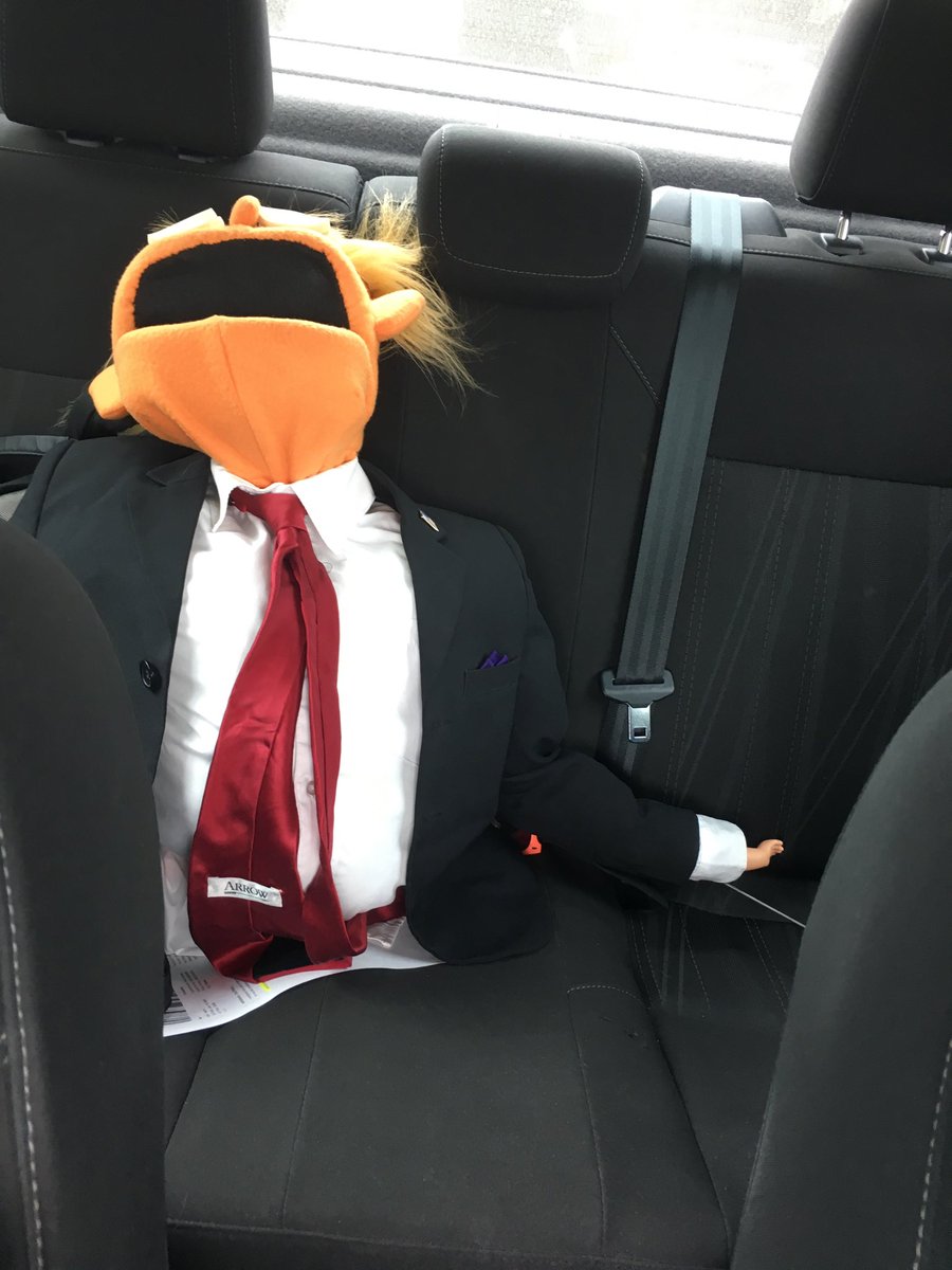 wogoat's tweet photo. ⁦@Trumpuppet⁩ taking a nap on the way to the library. #ExecutiveTime https://t.co/NKkmzGCIDn
