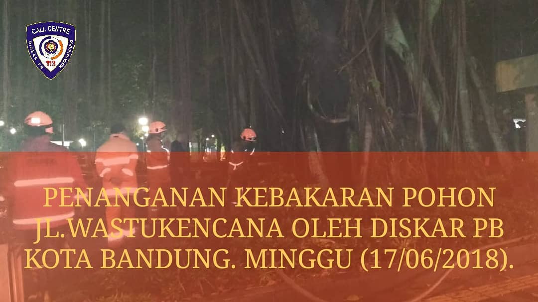 kebakaranbdg's tweet photo. Penanganan kebakaran pohon usai. https://t.co/fkZAusRR8l
