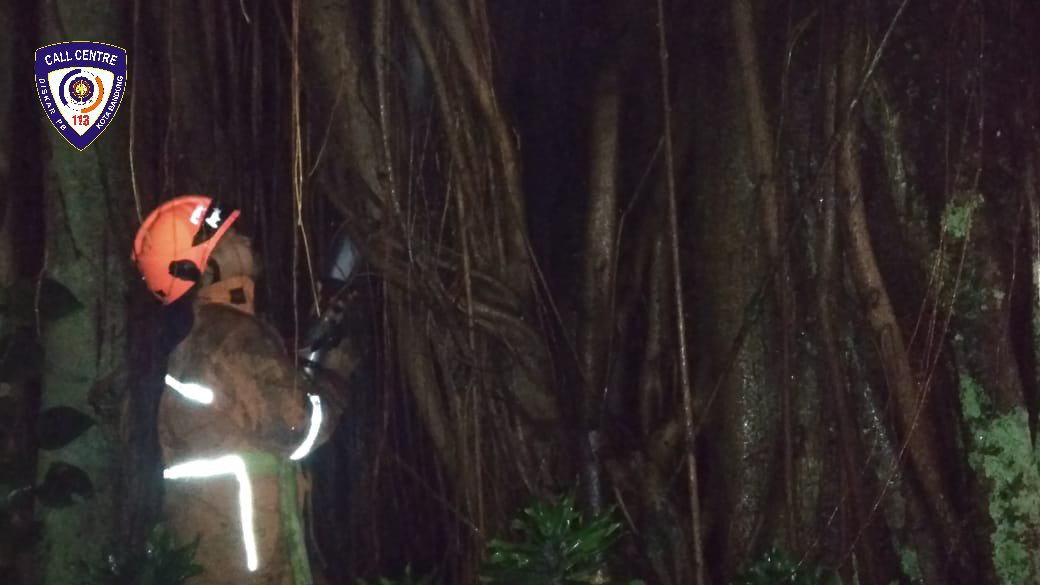 kebakaranbdg's tweet photo. Penanganan kebakaran pohon usai. https://t.co/fkZAusRR8l