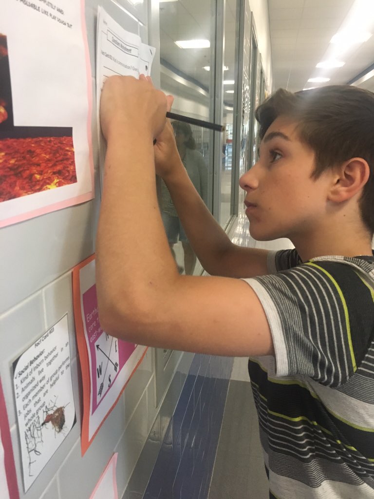 ChrisScience513's tweet photo. Cross Team Animal Behavior Scavenger Hunt on the 178th Day! #Nodaysoff @DrThomasSTE @MuiseLisa @GalvinMS https://t.co/Izz1z902or