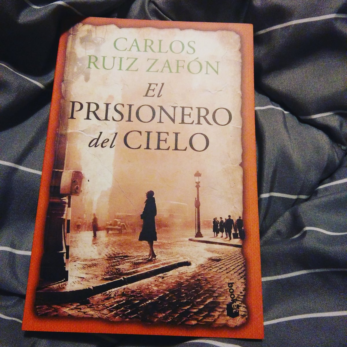 LizZy_si's tweet photo. Tarde lluviosa ideal para estar en compañía de un muy buen libro. @ZafonOficial https://t.co/6RDOAGqpxy