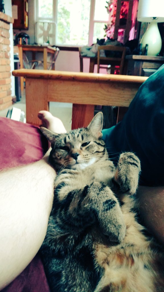 CatMike8's tweet photo. I was going to have to have words with @jdmar3 if he moved his foot again. 

He knows what's good for him though. https://t.co/srxNCQdqit