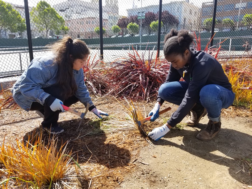 RecParkSF's tweet photo. Our Greenagers at Joe DiMaggio Playground this morning doing a little bit of weeding and planting for their second work day! Thanks for all of your hard work and for loving our parks! #getoutplay https://t.co/2dGryJMh9S