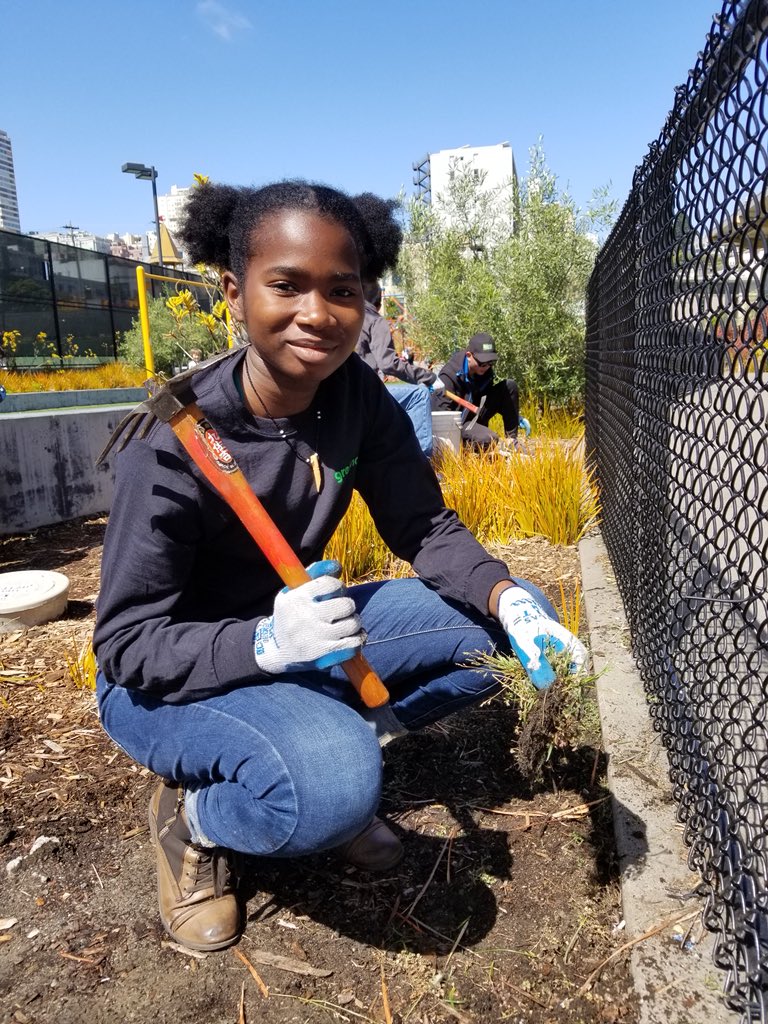 RecParkSF's tweet photo. Our Greenagers at Joe DiMaggio Playground this morning doing a little bit of weeding and planting for their second work day! Thanks for all of your hard work and for loving our parks! #getoutplay https://t.co/2dGryJMh9S