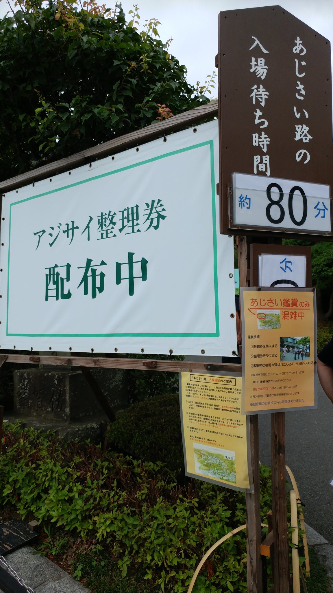 明月院混雑 Twitter Search Twitter