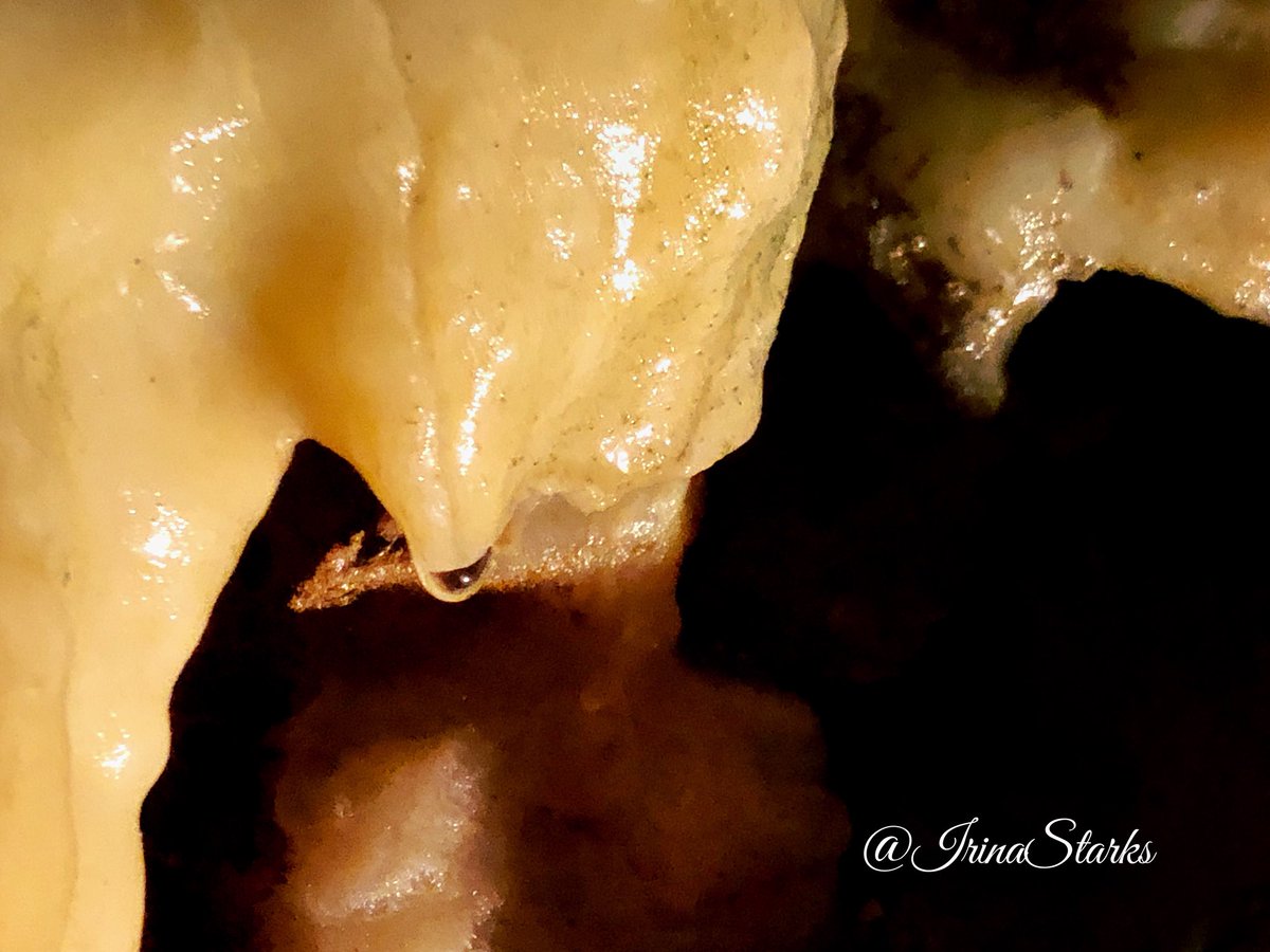 starksierina's tweet photo. Crystal Cave visit was delicious. Many rock formations I would've called differently, X-rated differently... I'm sorry little girl but that's not a finger, I wouldn't be so excited about finger... On other thought...π€¨#imbeingnaughty #welliam #sexycave https://t.co/HKvydy7OnU