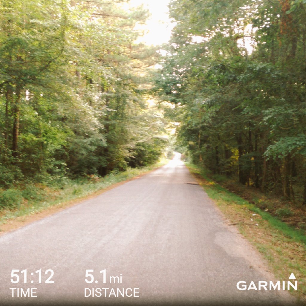 tcrotwell's tweet photo. Welcome home to the jungle. #humidityrun #garmin #beatyesterday https://t.co/bkueKpu2ao