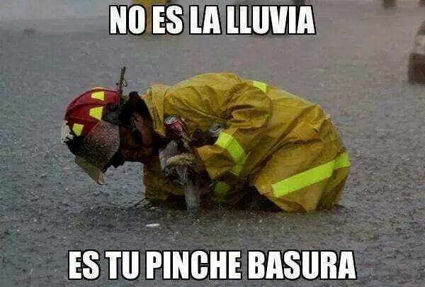 VialCampeche tweet media