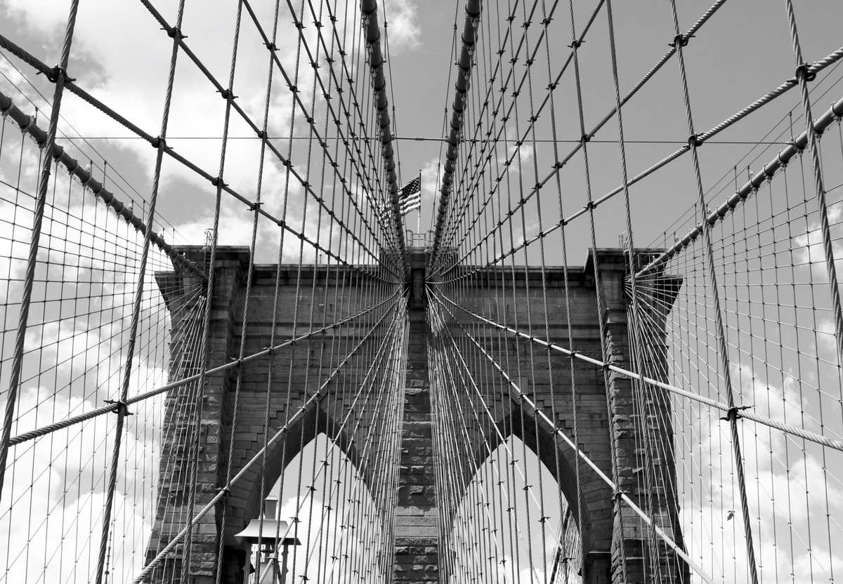 kelsiesip's tweet photo. s/o to New York for providing me the most incredible photo opportunities https://t.co/PqudvczEUE