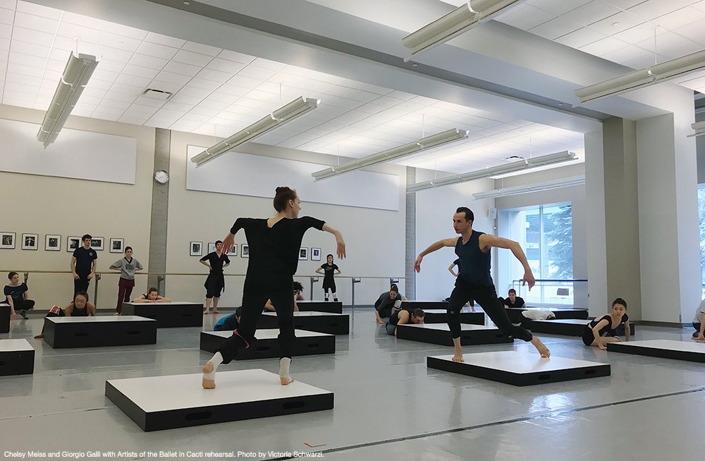 nationalballet's tweet photo. #CactiNBC is clever, fast-paced and witty. Learn more about choreographer Alexander Ekman >> https://t.co/lSKrJvzZuY https://t.co/vkYyZxa7qS