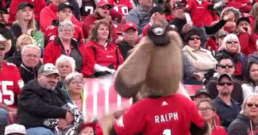 CCAbuildsYYC's tweet photo. D-fence, D-fence! @thefencestore01 @calstampeders #BuildCalgary https://t.co/m0JUB3WFLB