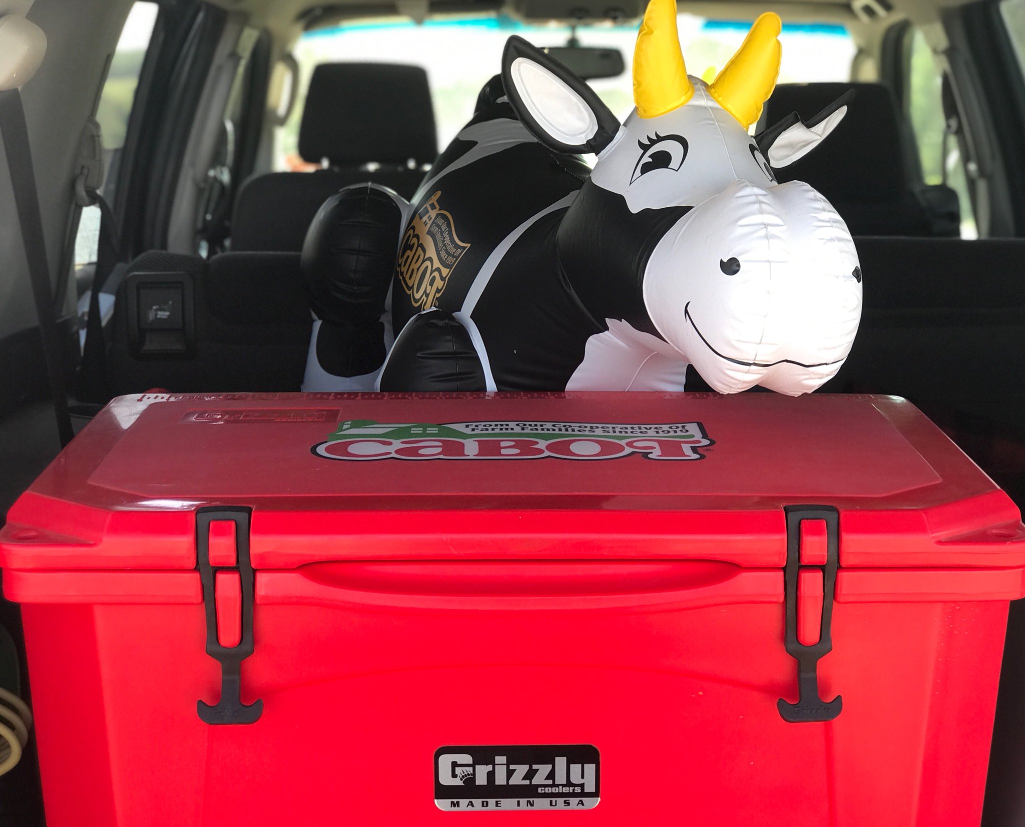 Grizzly busch cooler discount