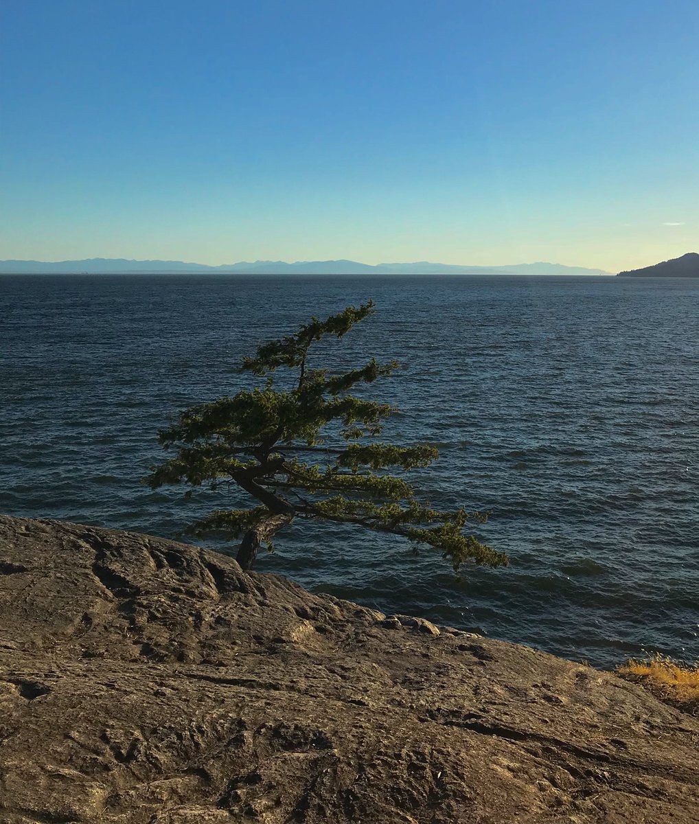 MarkMwlalonde's tweet image. #iphone shot from #LighthousePark in #WestVan tonight.