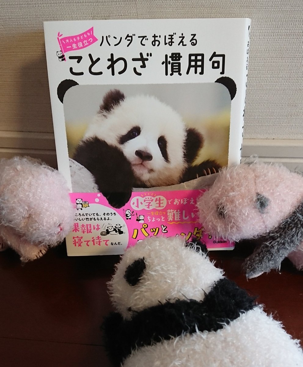 Hashtag パンダでおぼえることわざ慣用句 Sur Twitter