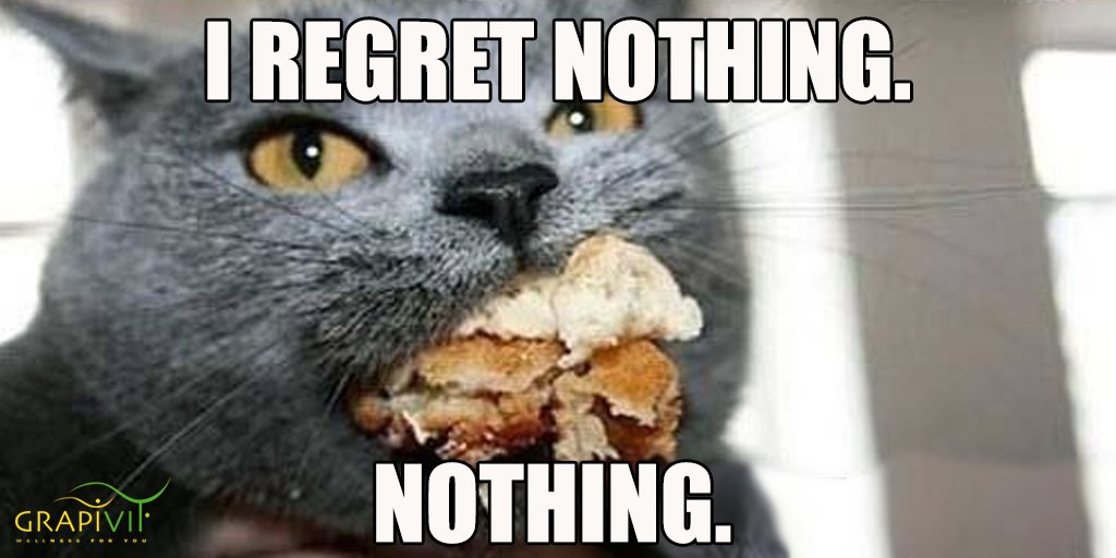 GrapiTweet's tweet photo. Are you guilt-free like this kitty?

#FunnyCat #Diet #Fit #Fitness #GuiltFreeDiet #Health #Healthy #VitaminWater #CatMeme #DietMeme #GrapivitAustralia https://t.co/wj67CsRLsL