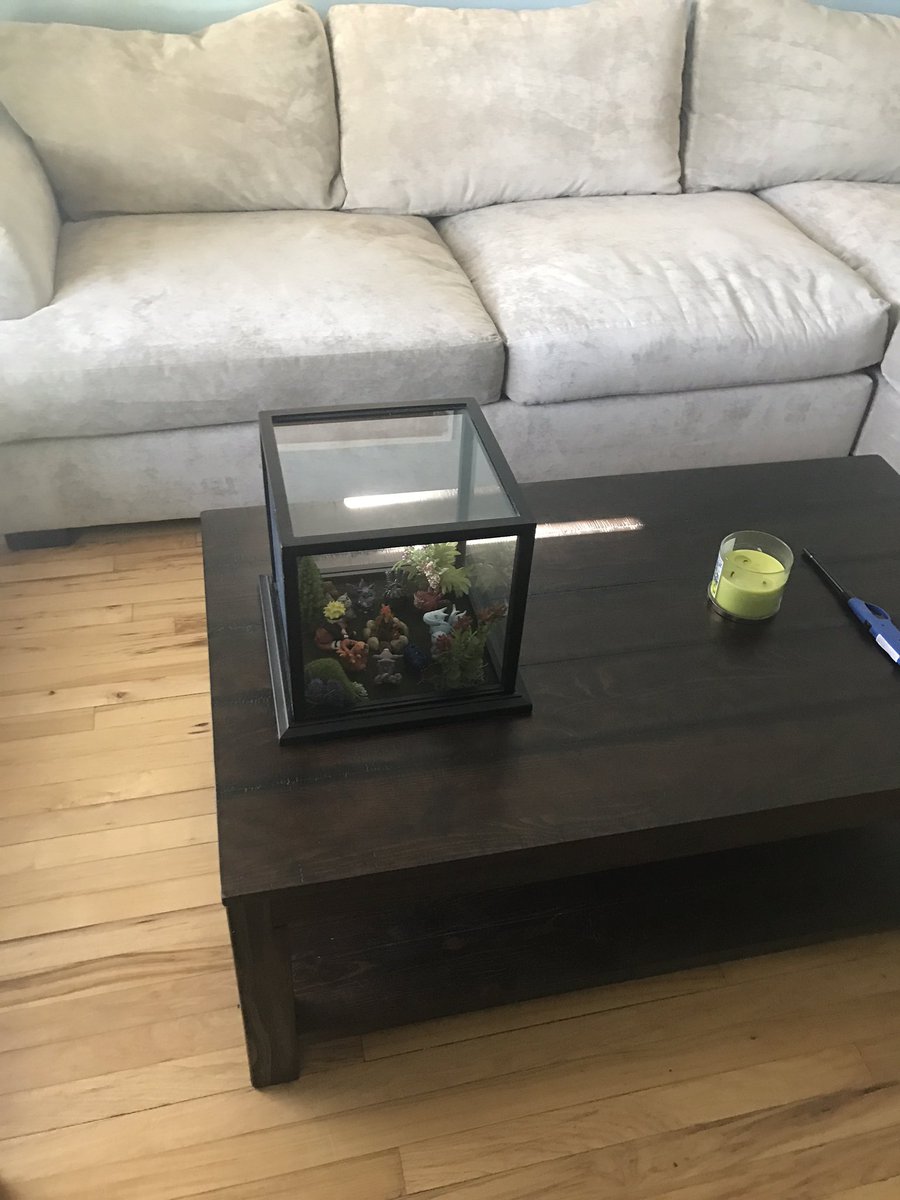 rebeccaskattie's tweet photo. went to visit my brother today and walked in thinking "oh wow nice terrarium" but then i got closer and https://t.co/uRlu4DLCEc