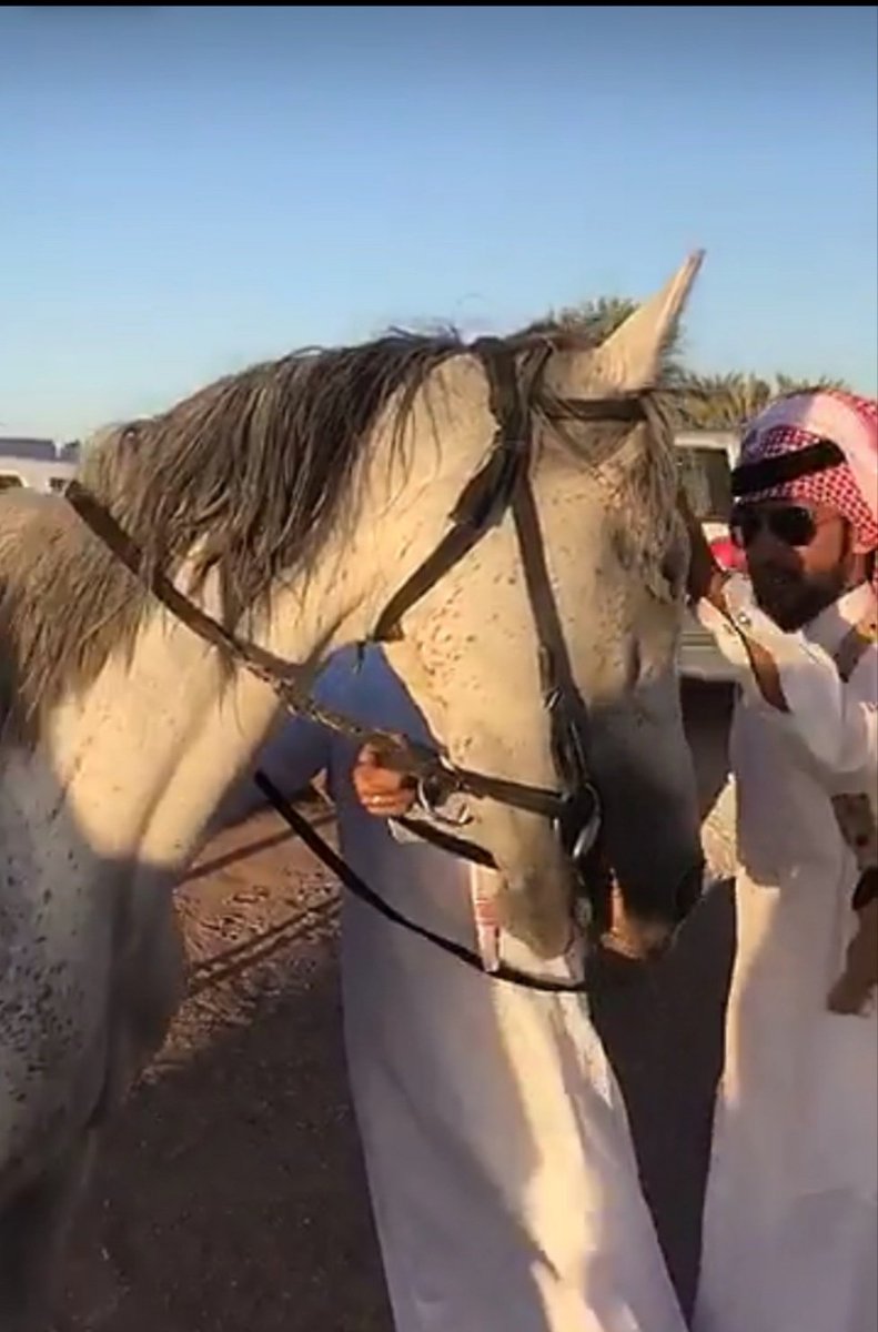 4rv__'s tweet photo. احتفال فرسان عنزة بعيد الفطر 1439بمحافظة الشملي
بضيافه دحام رباح فالح #الشامان
#الشملي #البجايدة https://t.co/qUfDsaX3XW