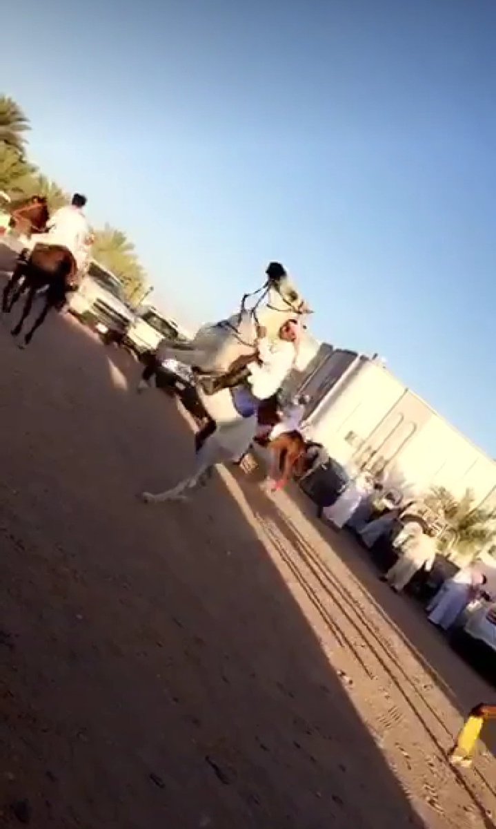 4rv__'s tweet photo. احتفال فرسان عنزة بعيد الفطر 1439بمحافظة الشملي
بضيافه دحام رباح فالح #الشامان
#الشملي #البجايدة https://t.co/qUfDsaX3XW