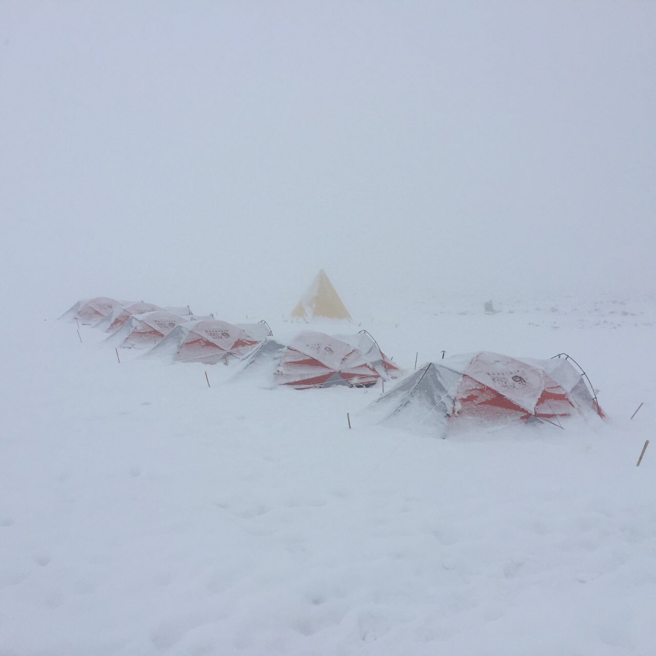 klauw Rekwisieten Baan Neil Shubin on Twitter: "New Year's 2017, Antarctica. Outside the tent: a  huge blizzard. Inside the tent: I baked a chocolate chip pound cake, of  course. https://t.co/sGAEE1O9Ro" / Twitter