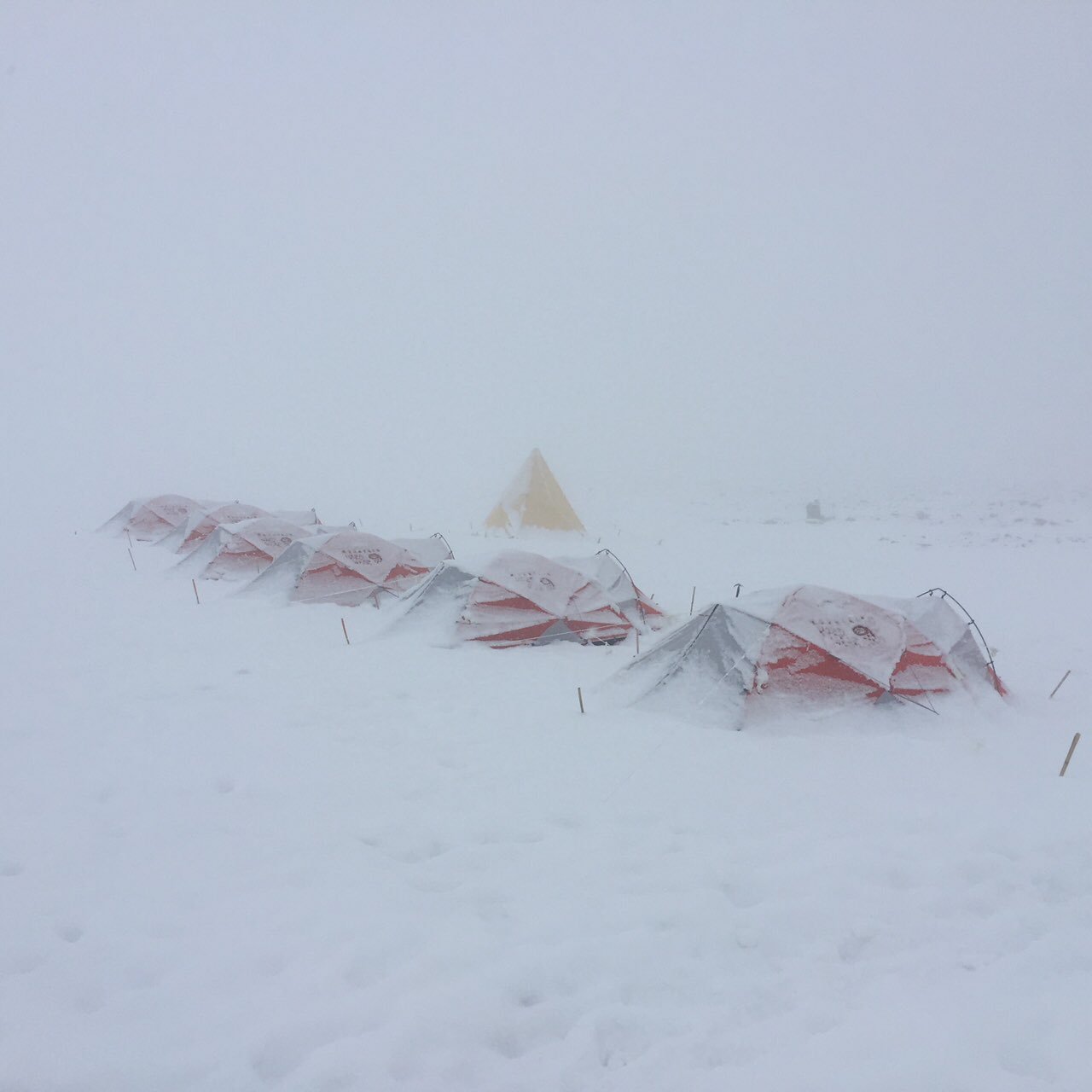 klauw Rekwisieten Baan Neil Shubin on Twitter: "New Year's 2017, Antarctica. Outside the tent: a huge blizzard. Inside the tent: I baked a chocolate chip pound cake, of course. https://t.co/sGAEE1O9Ro" / Twitter klauw Rekwisieten Baan Neil Shubin on Twitter: "New Year's 2017, Antarctica. Outside the tent: a huge blizzard. Inside the tent: I baked a chocolate chip pound cake, of course. https://t.co/sGAEE1O9Ro" / Twitter