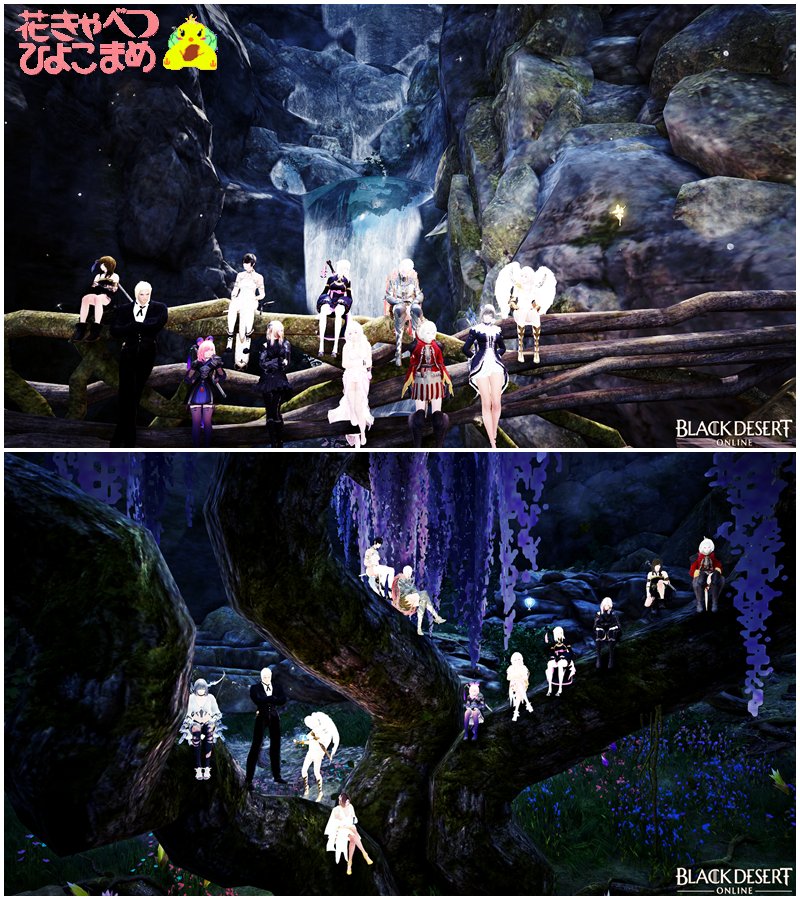 花きゃべつひよこまめ