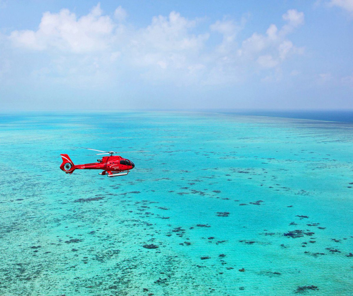 ovstudentaus's tweet photo. 🚁 This is northern territory at its best. If you are in Darwin, you must take a helicopter secnic flight over Darwin city and surrounding beaches. You will be amazed at the natural scenery here Credit: @helifish @australia 
.
.
.
#tourismaustralia #australia #visitnt #darwin https://t.co/WR0GUkhs9q