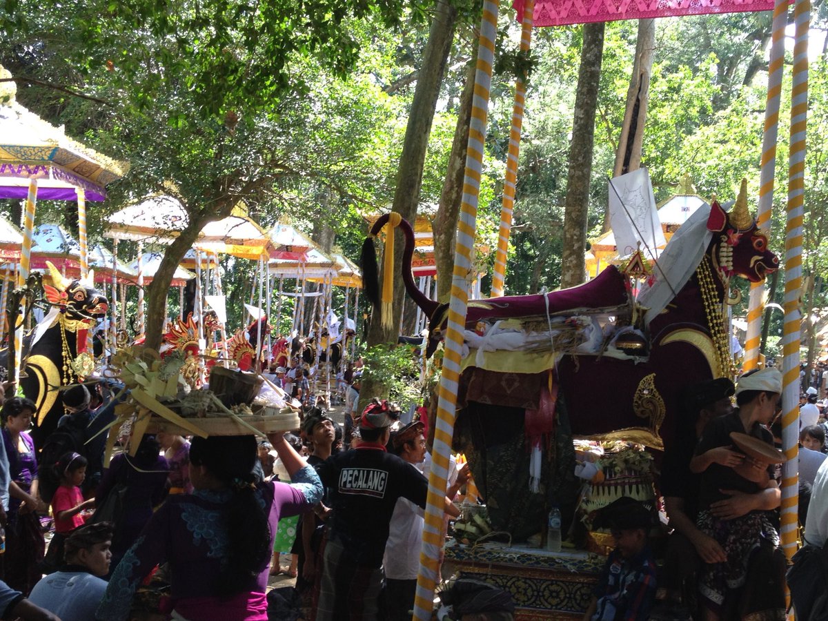 karisma_bali's tweet photo. It is not sure yet,but #cremation formula for village peoplemight be doing in Monkey Forest Temple in #Ubud in probably on July 8.
Schedule it don’t have the final schedule
Please charter a car and come to Ubud?
Those are thoroughly rumors.
#tour #travel #carcharter #guide #bali https://t.co/FvrOs1Q8yS