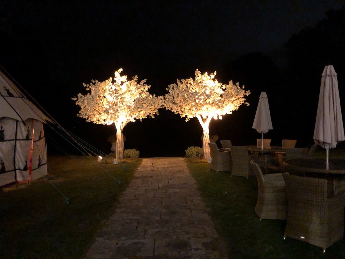 Luminiqueuk's tweet photo. Our NEW service!! LED outside uplighting #weddingtrees #loveweddings #2018bride #weddingideas #hampshirebrides https://t.co/lZ86KaKJns
