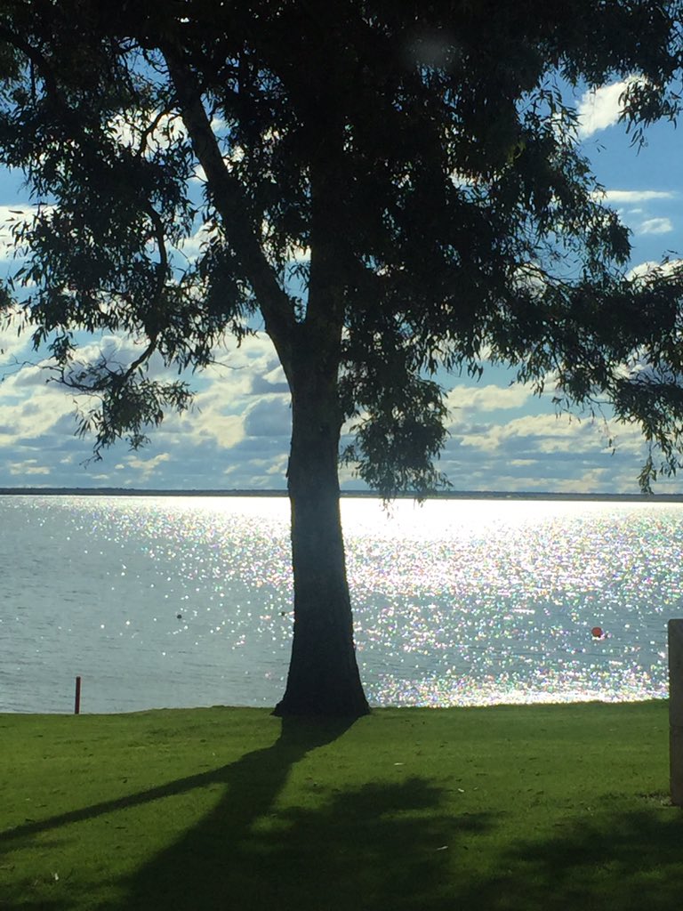 AnnetteEvalynSw's tweet image. #TheTruthTree #PowerTree  #Poetry #ThePowerOfPoetry #BeOriginal #TruthNeverChanges #BeTrueToThineSelf #AESwainQuote #PoetAnet💕 ( #OriginalPic #PoetAnetPic #BonnieLake #Barmerra #SouthAustralia #Australia🇦🇺) by #PoetAnet💕