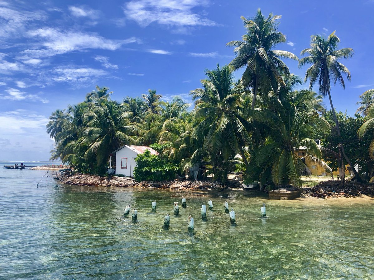 phtravel's tweet photo. Island time on Tobacco Caye, Belize. #LPinBelize #belize #tobaccocaye https://t.co/m2pU3UHMWX