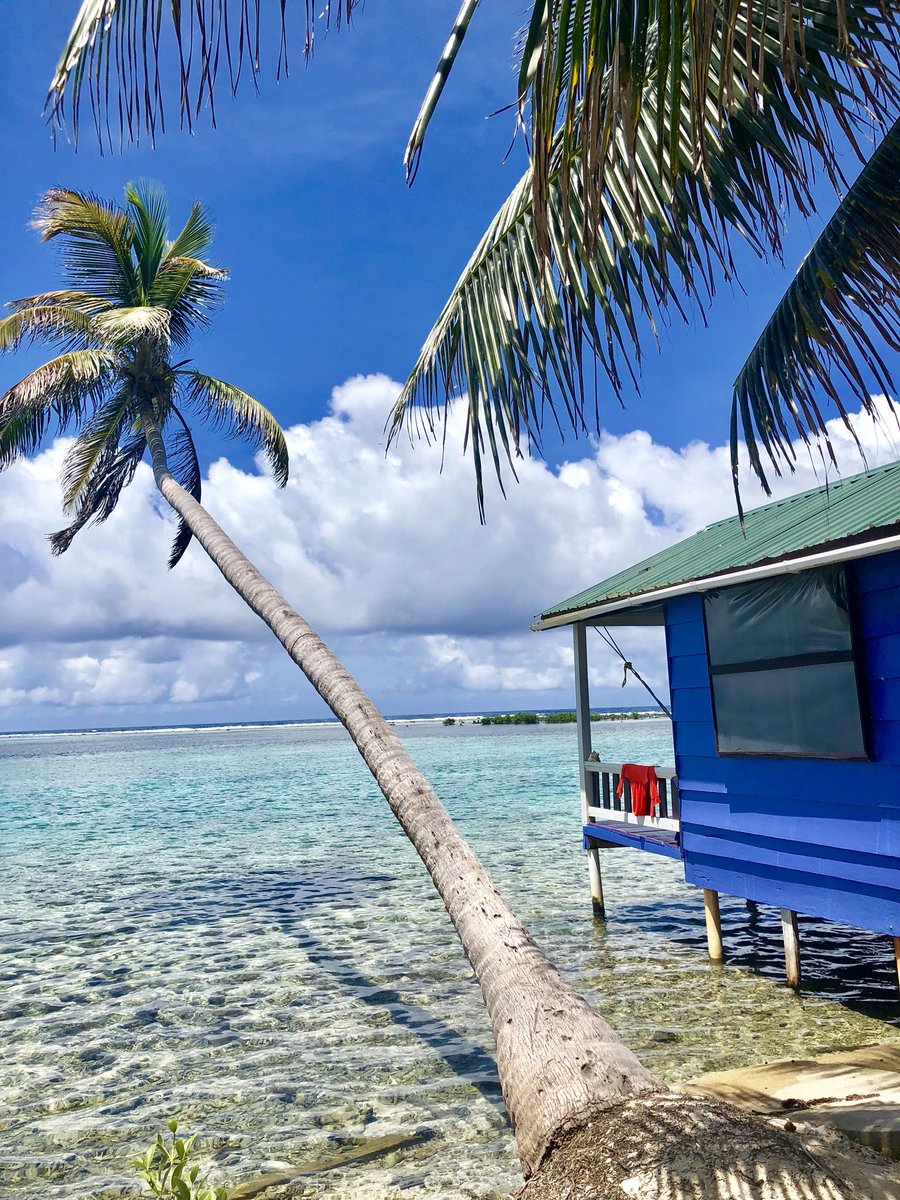 phtravel's tweet photo. Island time on Tobacco Caye, Belize. #LPinBelize #belize #tobaccocaye https://t.co/m2pU3UHMWX
