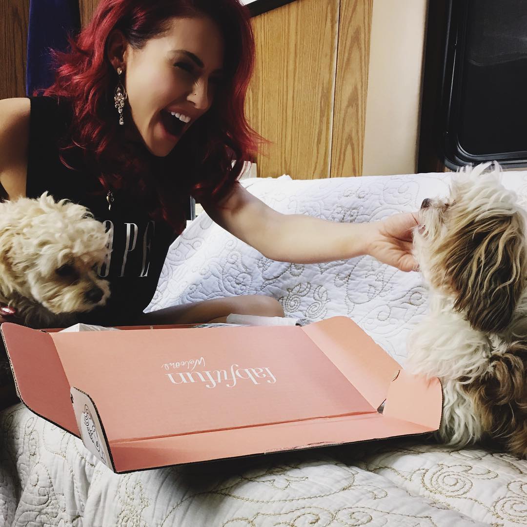 dancermichelle8's tweet photo. Day 16: Fav Photos with Duke and Daisy
-ugh these pups are so cute i can't π©π
-i love how shar made an insta account for them haha i love seeing their daily sassiness and cuteness... and the captions on them are EVERYTHING! ππ
#21DaysofSharna https://t.co/wxDQTO9fql